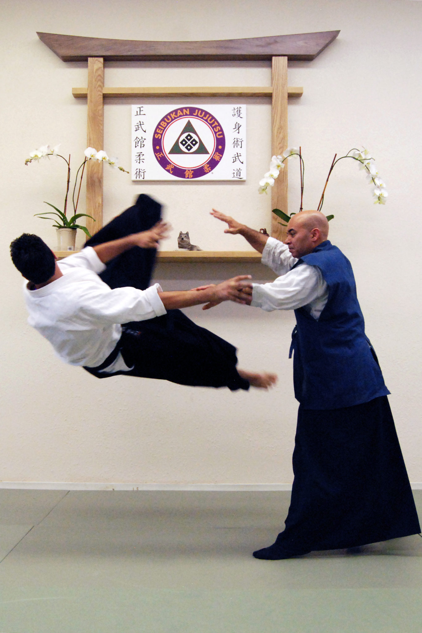 Learn Martial Arts At Home